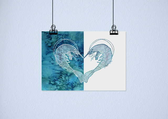 "Geometric Shrimps" - Artprint A4 