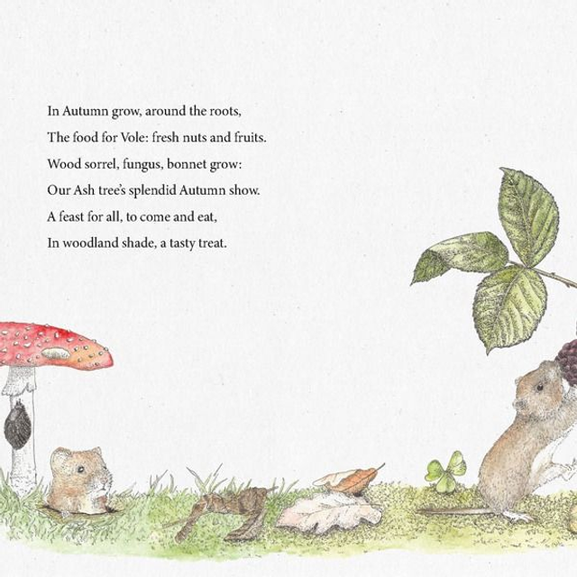 Book: The Tree That Held The Moon