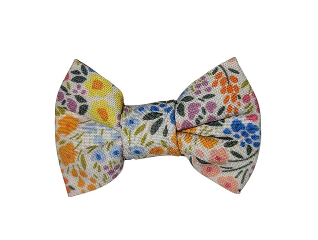Barrette cheveux