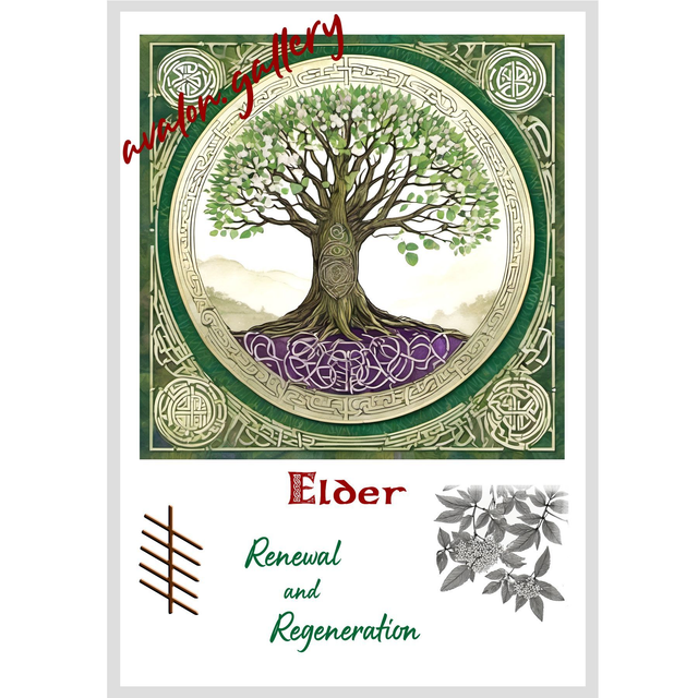 15. Elder - 'Renewal and Regeneration'
