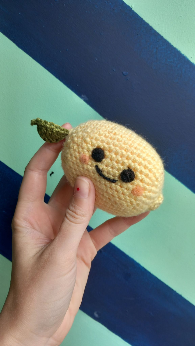 Atelier Crochet-Amigurumi-pour initiés