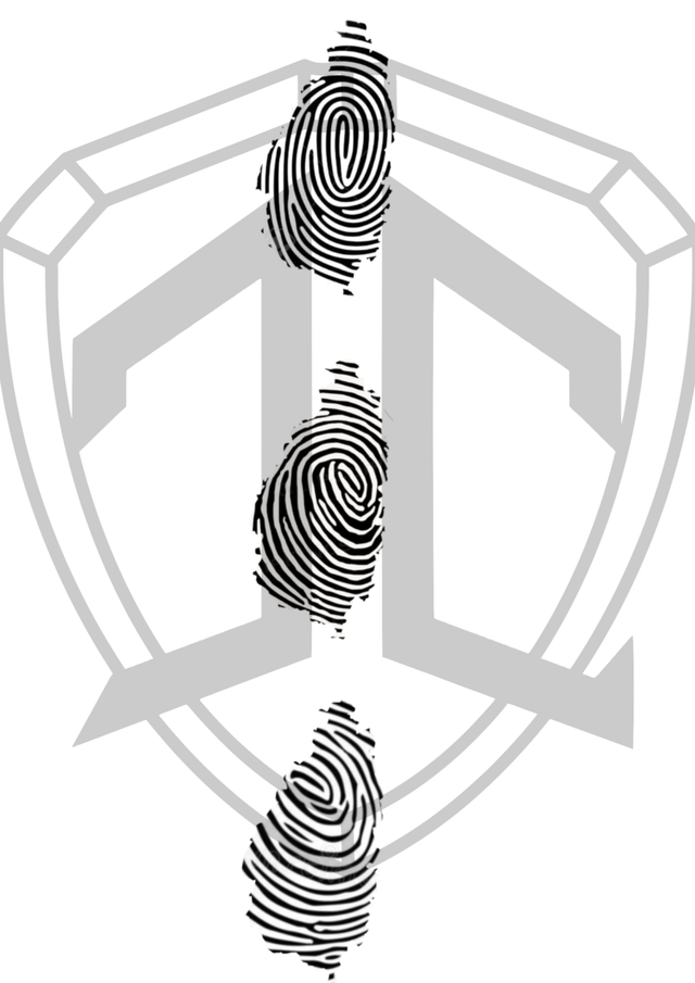 Cartes Flash Empreinte