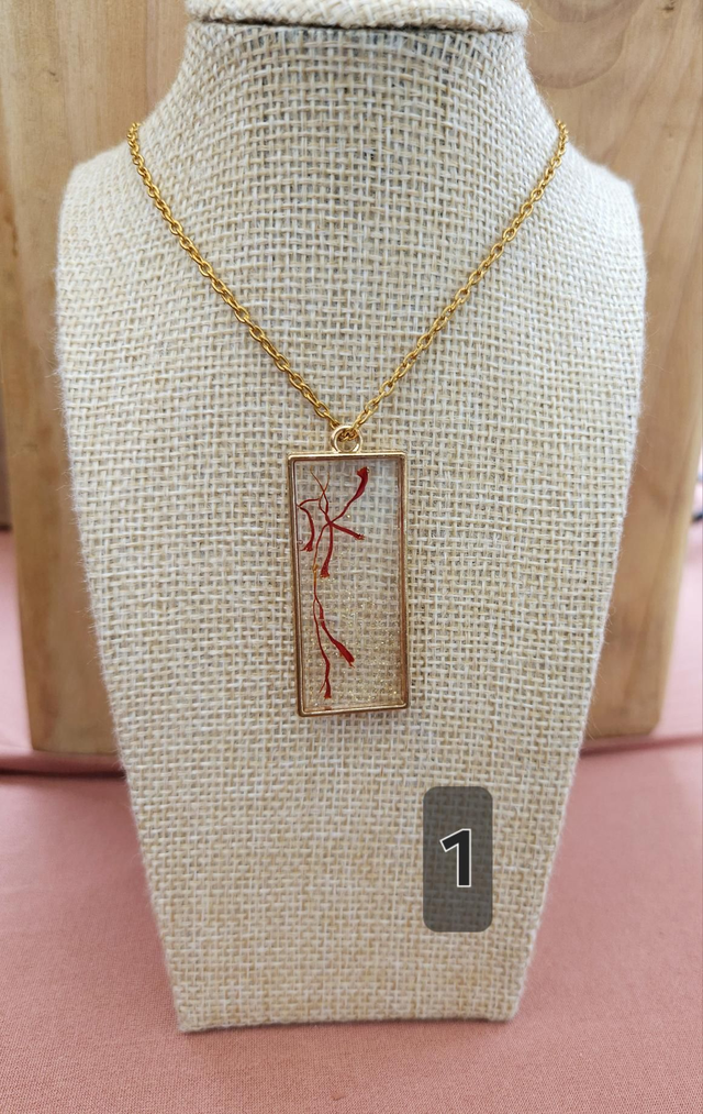 Colliers inclusion safran