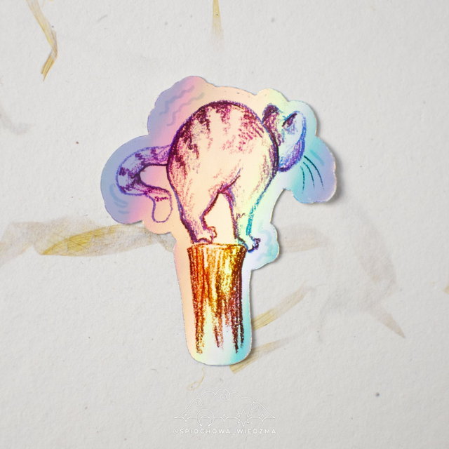 Holo rozciągający się kot | ZWIERZĘTA