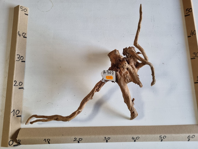 Racine araignée A-303