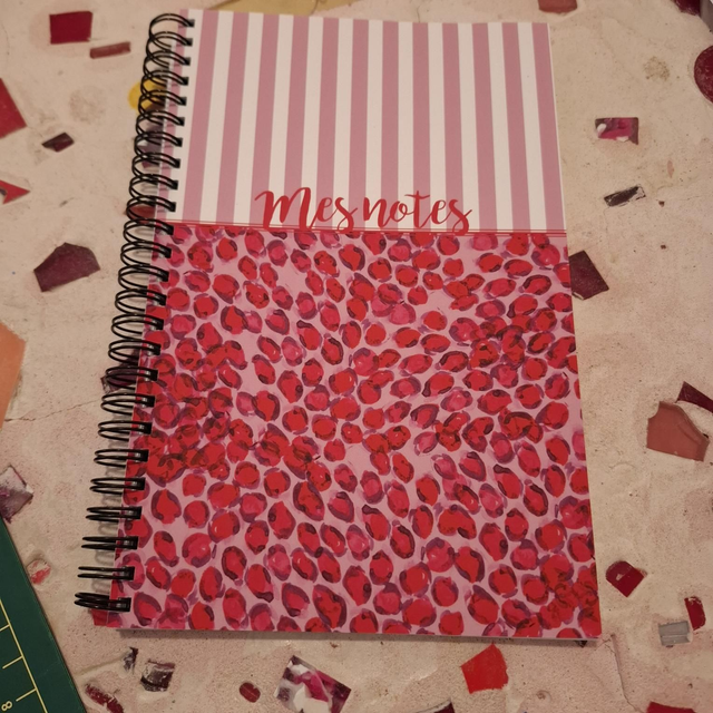 Maa9 carnet spirale léo