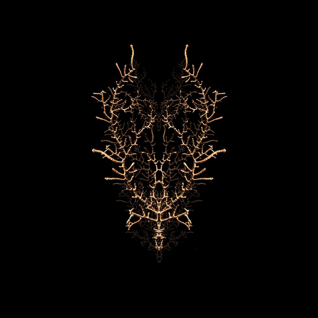 Filon de timidité n°2 | Tirage 1/8