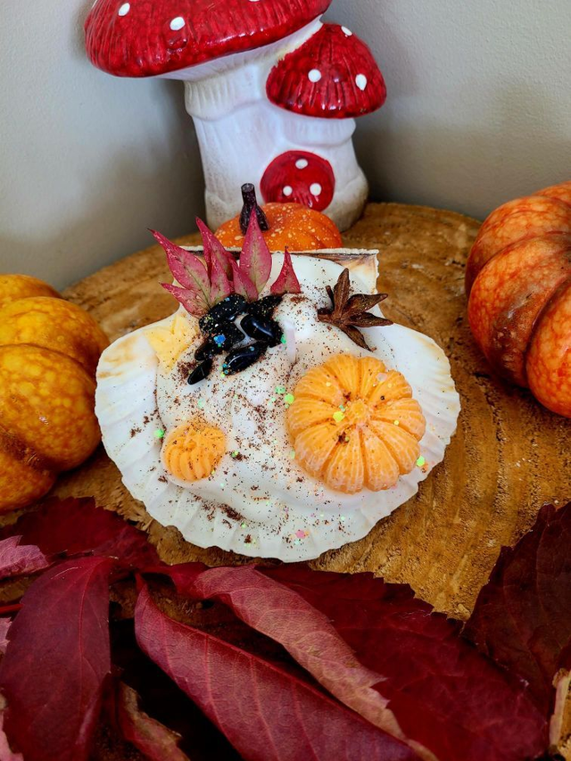 La bougie Coquille St jacques