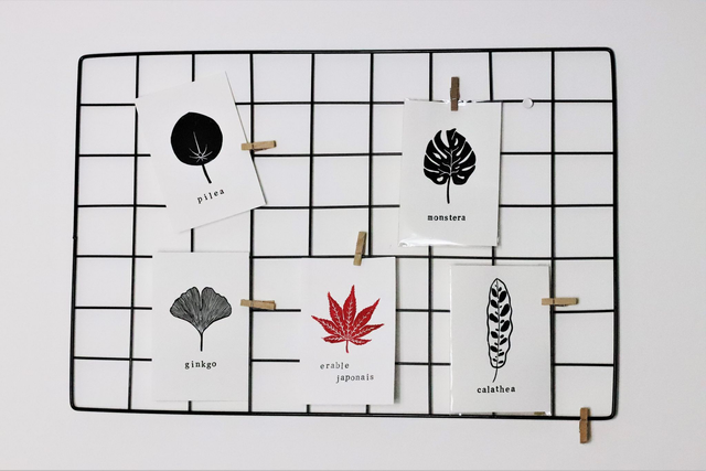 Linogravure A6 feuille d'Erable japonais (2 coloris)