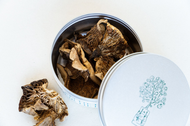 PRE ORDER Russula Ciliata, wilde eetbare paddenstoel uit Zambaan miombobos, gedroogd