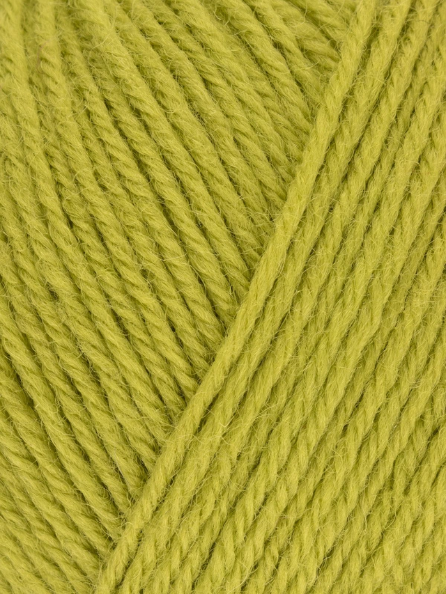 WYS ColourLab DK Yarn Pear Green 186 100g /225m