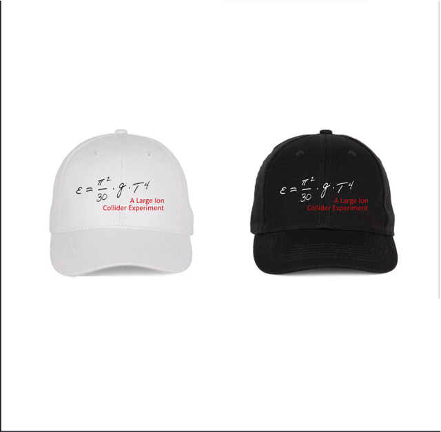 ALICE 2025 Caps