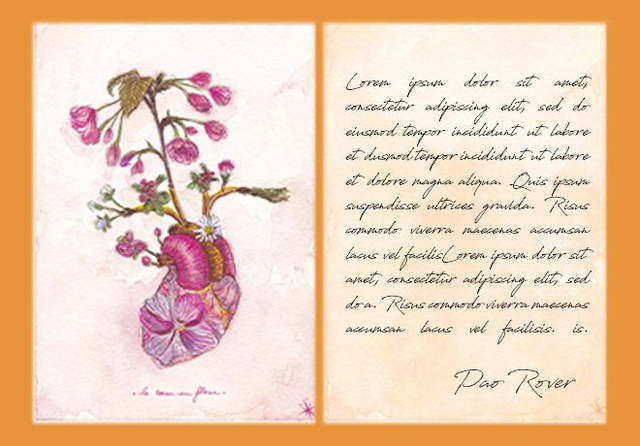 Soutien n°1 : La Newsletter.