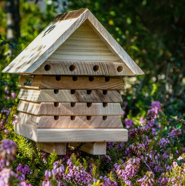 Interactive Solitary Beehive 