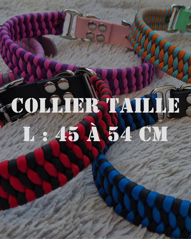3 - Collier taille L