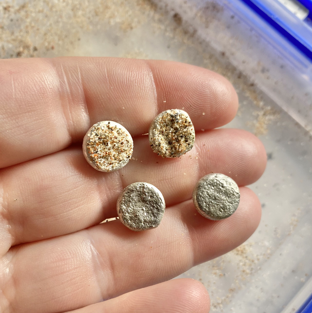 Beach sand stud earrings