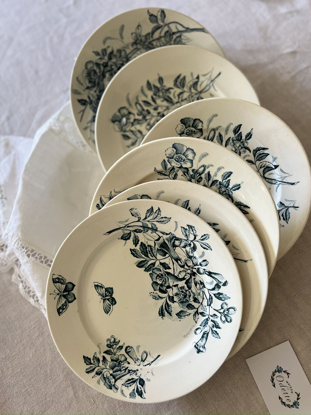 JASMIN - Suite de 6 assiettes plates signées Badonviller - Terre de Fer