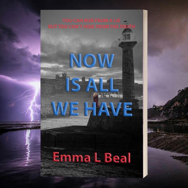 NOW IS ALL WE HAVE (Book 3) 