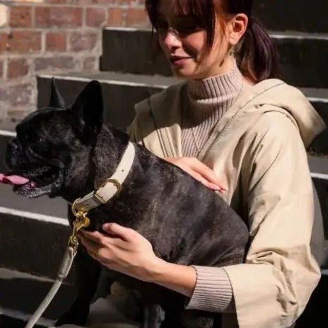 Fuzzyard Sandstone Collar