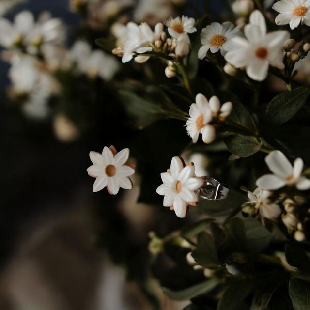 Boucles à 24€ puces Bois / Plexiglas / Laiton doré or