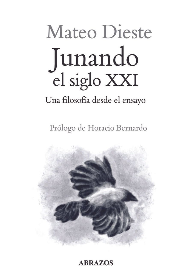 Junando el siglo XXI: Una filosofía desde el ensayo - Mateo Dieste