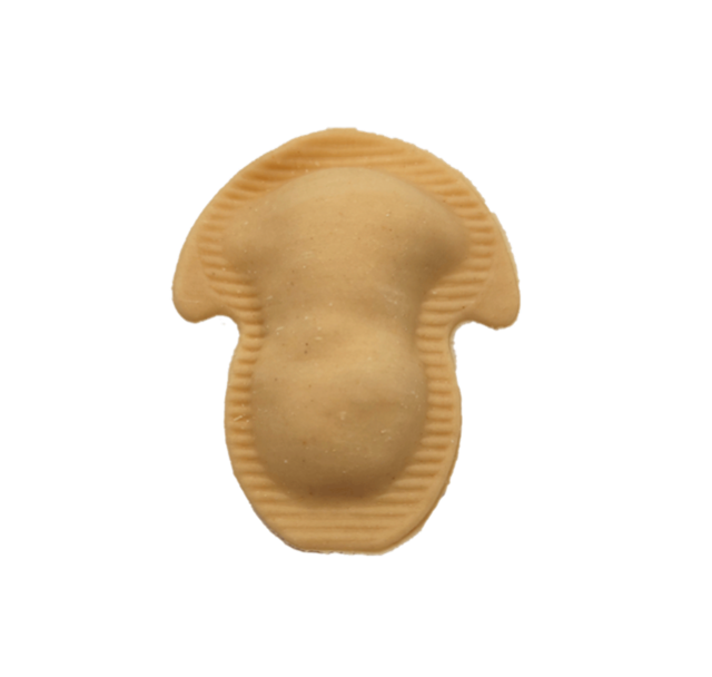 Canarioni di pata asada (1 Kg)