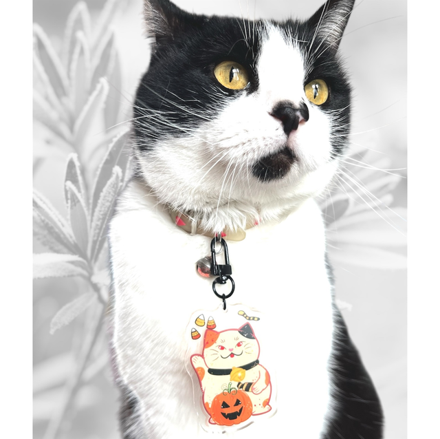 Porte clé Acylique Chat Halloween