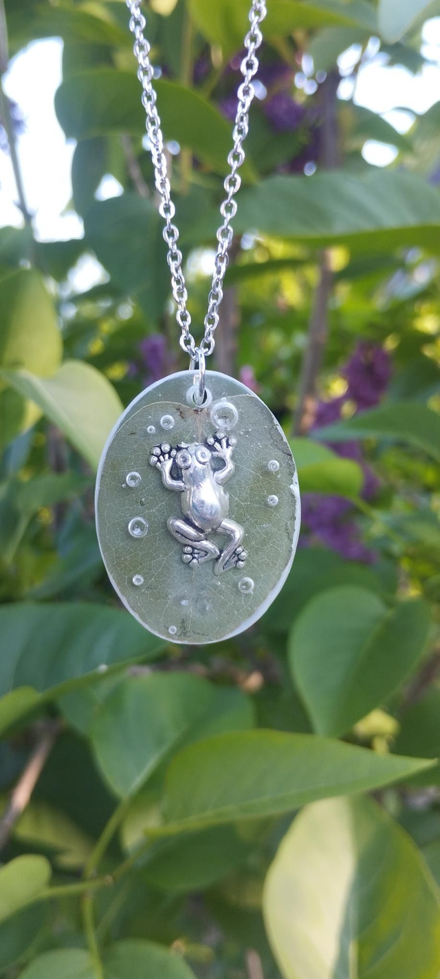 Végétalisman - Contemplation