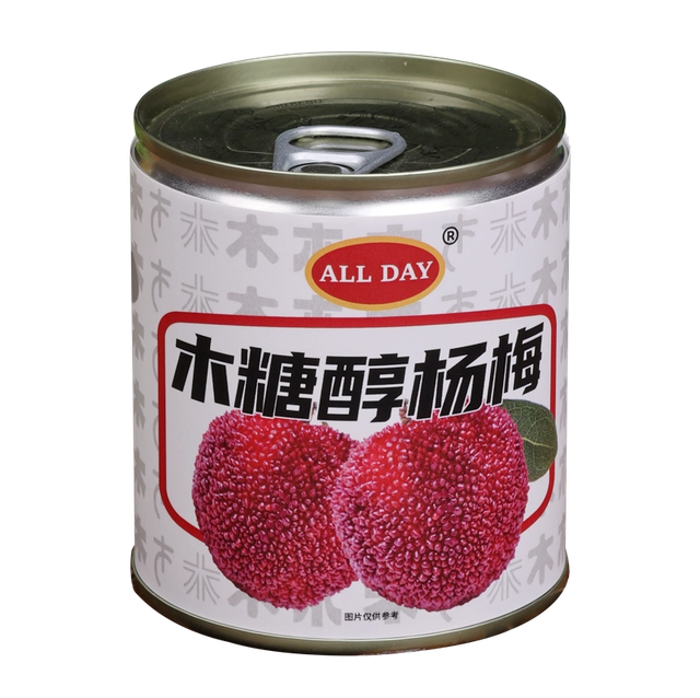 corbezzolo sciroppato 杨梅罐头567g