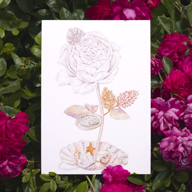 Rose Perle A5