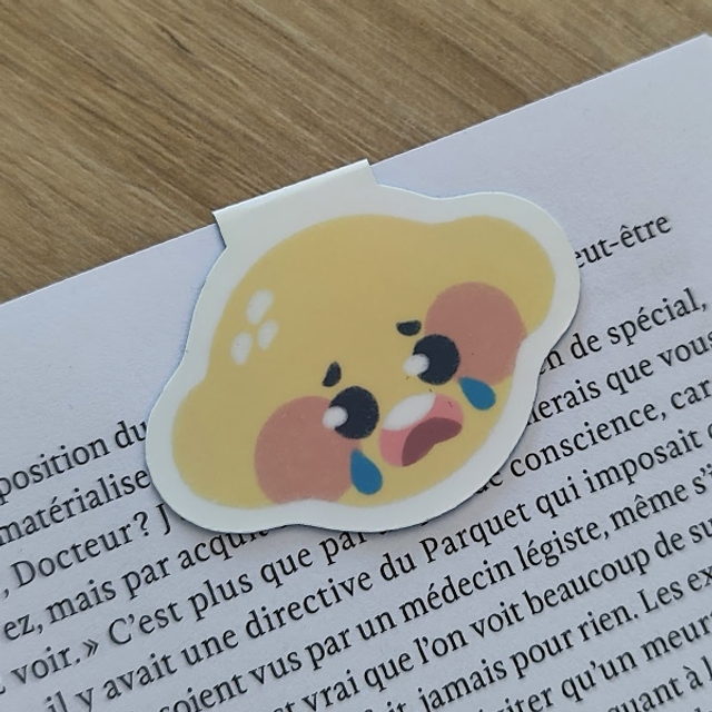 MARQUE-PAGES MAGNETIQUE | Citron