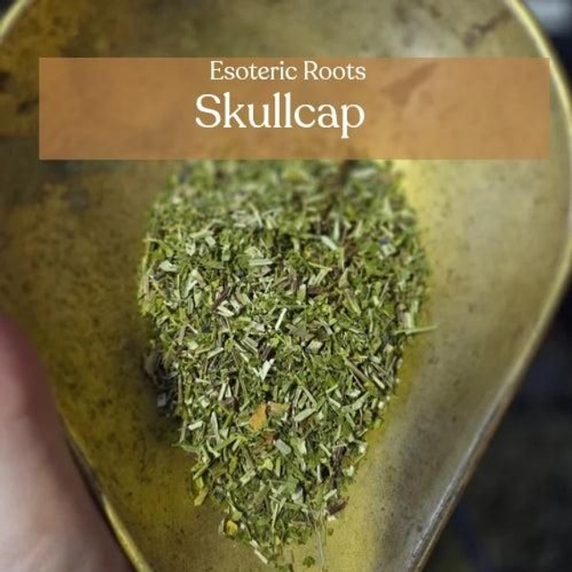 Dried Skullcap Herb 10g | Peace, Protection &amp; Psychic Dreams