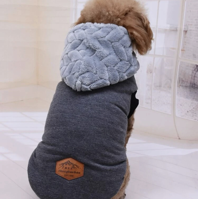 Hooded pet jacket 