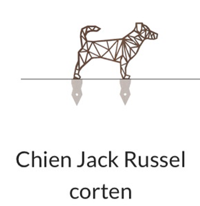 Chien Jack Russel