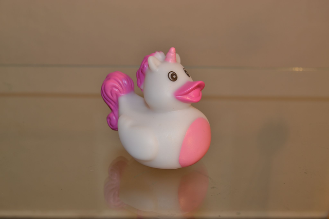 Canard licorne