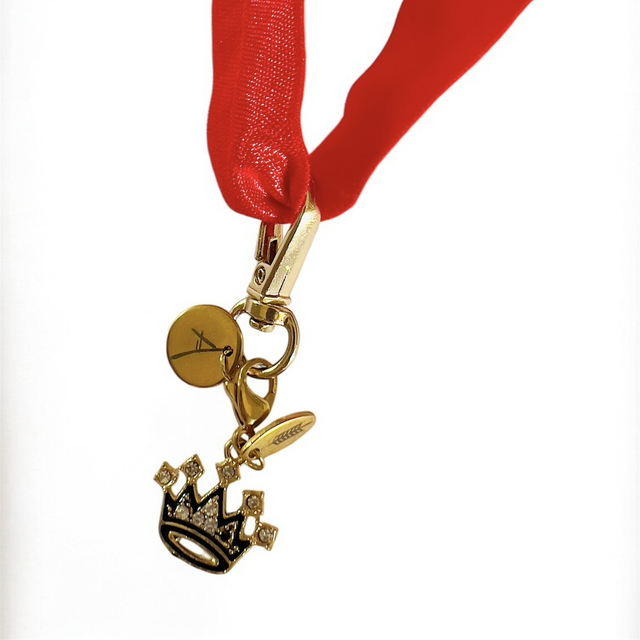 Coffret DOG CHARM CROWN
