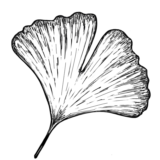 Mini Stempel Ginkgo hell