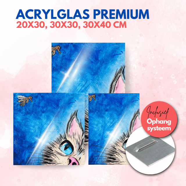 Kat | Acrylglas premium