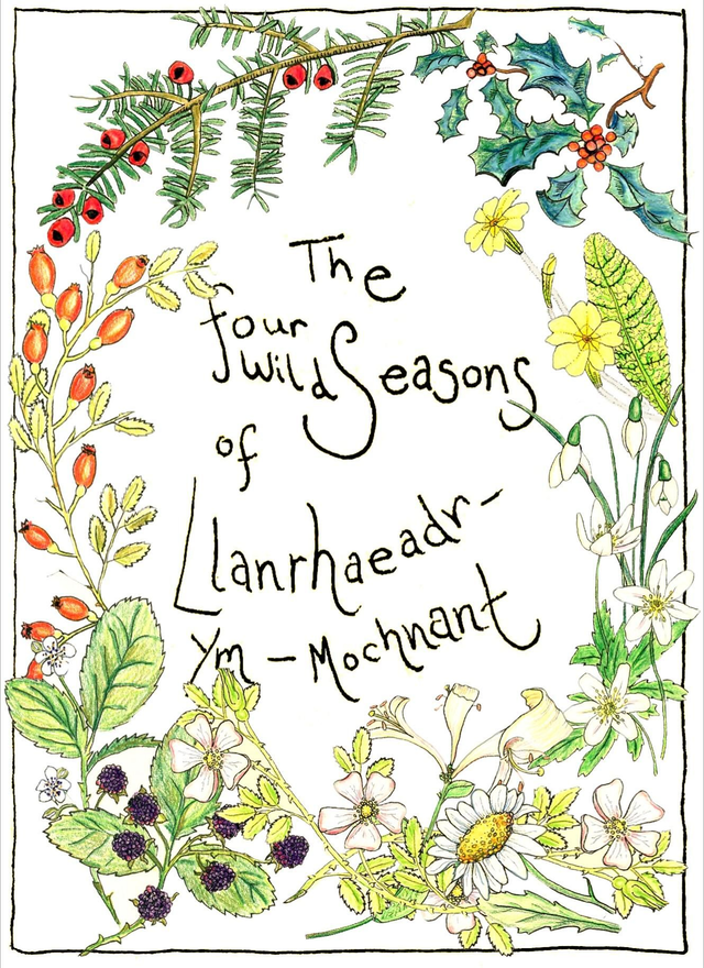 Four Wild Seasons Illustrated Postcard
