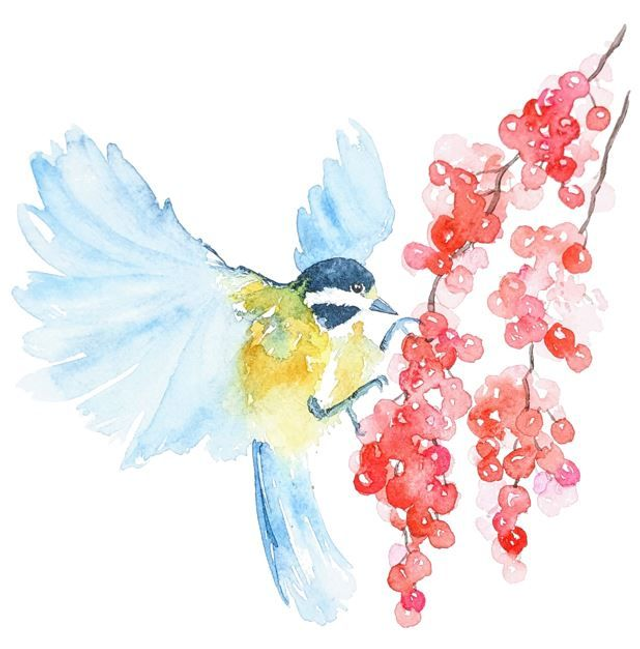 Tableau original à l'aquarelle mésange en vol et baies rouges, 16x16 environ