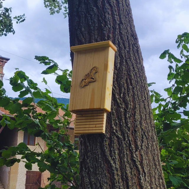 Gîte à chauve-souris 🦇 