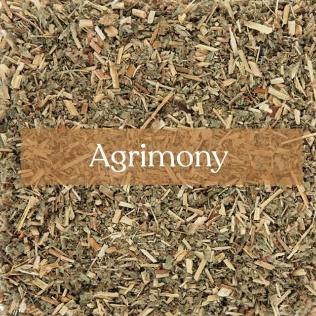 Agrimony | Protection &amp; Abundance Magic