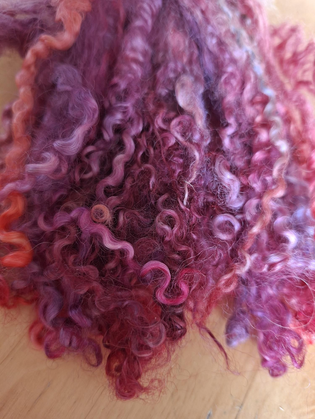 Boucles26009 teeswater anglais 18g