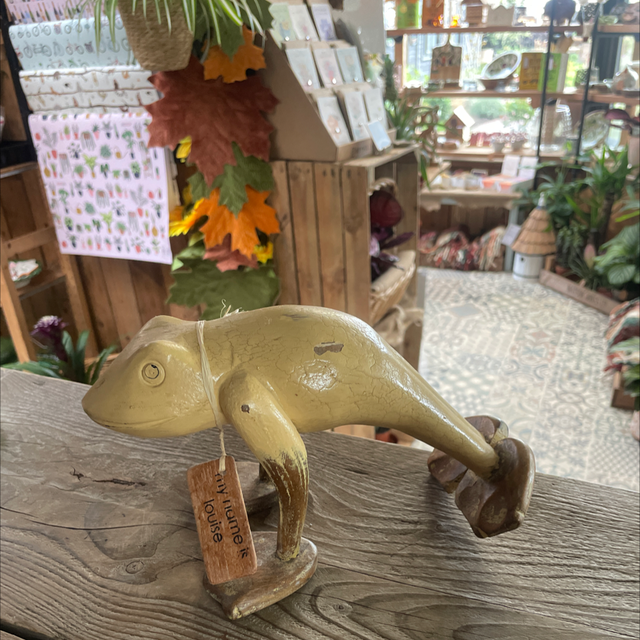 Yellow Wooden Frog