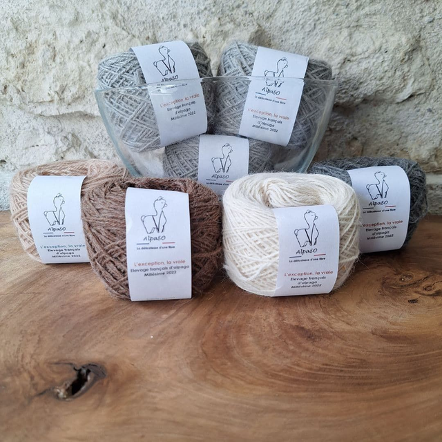 kit tricot - tour de cou - spécial débutant