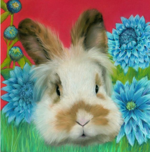 Greeting Card 'MARONE' (Konijnenparadijs)