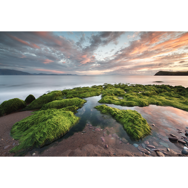 Kinard Beach - Trá Chathail