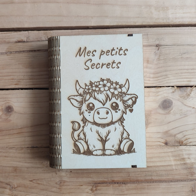 Boite livre petit format