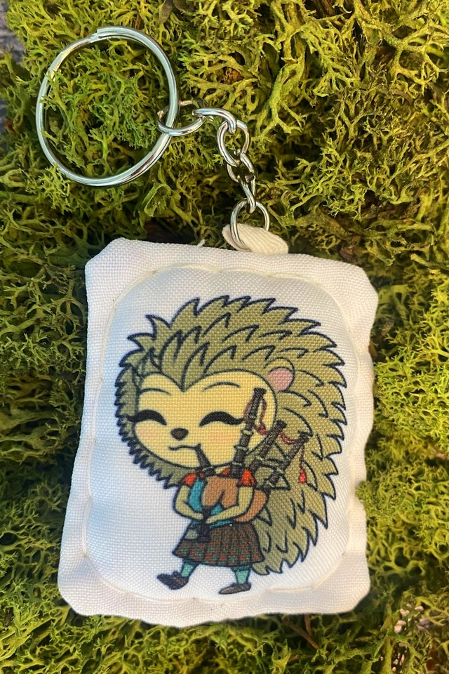 Georges le Hérisson Musicien