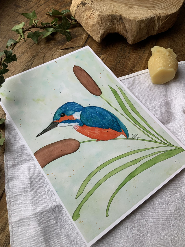 Reproduction A5 « Roi des marais »